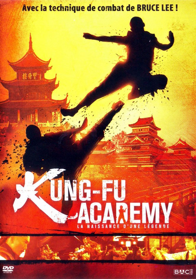 Kung Fu Academy - Affiches