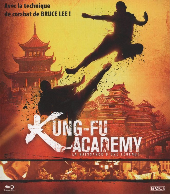 Kung Fu Academy - Affiches