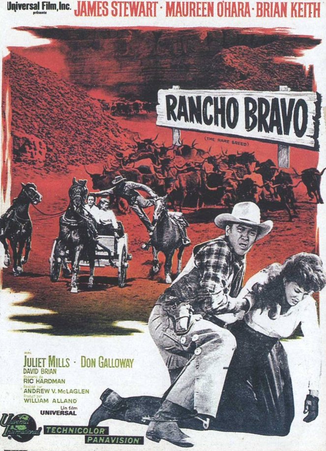Rancho Bravo - Affiches