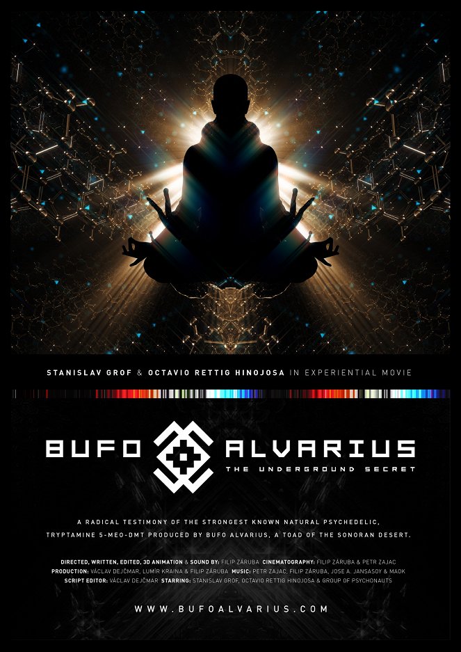 Bufo Alvarius - Posters