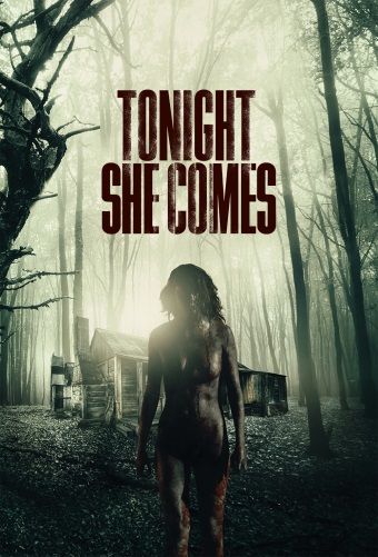 Tonight She Comes - Carteles
