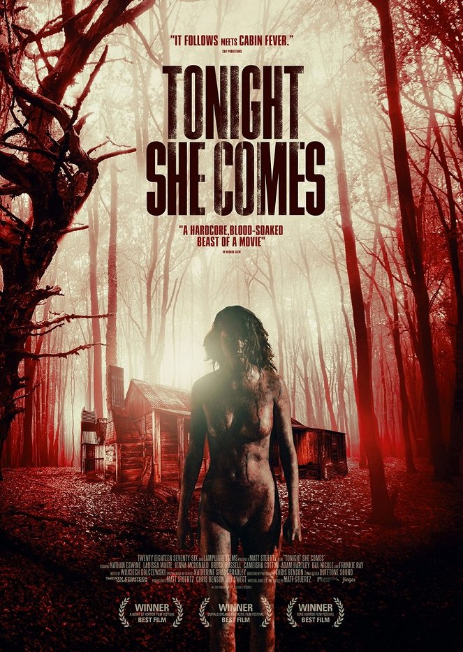 Tonight She Comes - Posters
