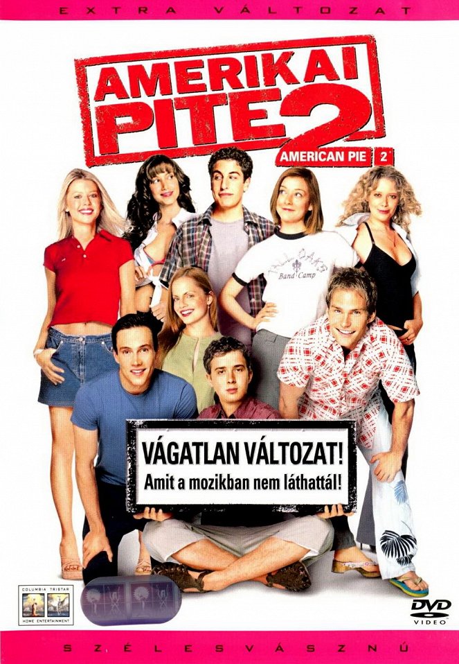 Amerikai pite 2. - Plakátok