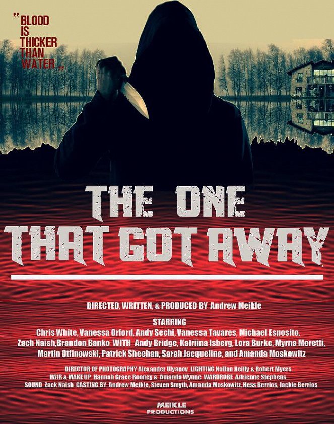 The One That Got Away - Affiches