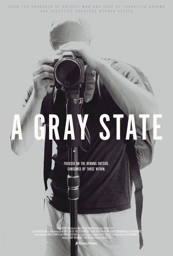 A Gray State - Julisteet