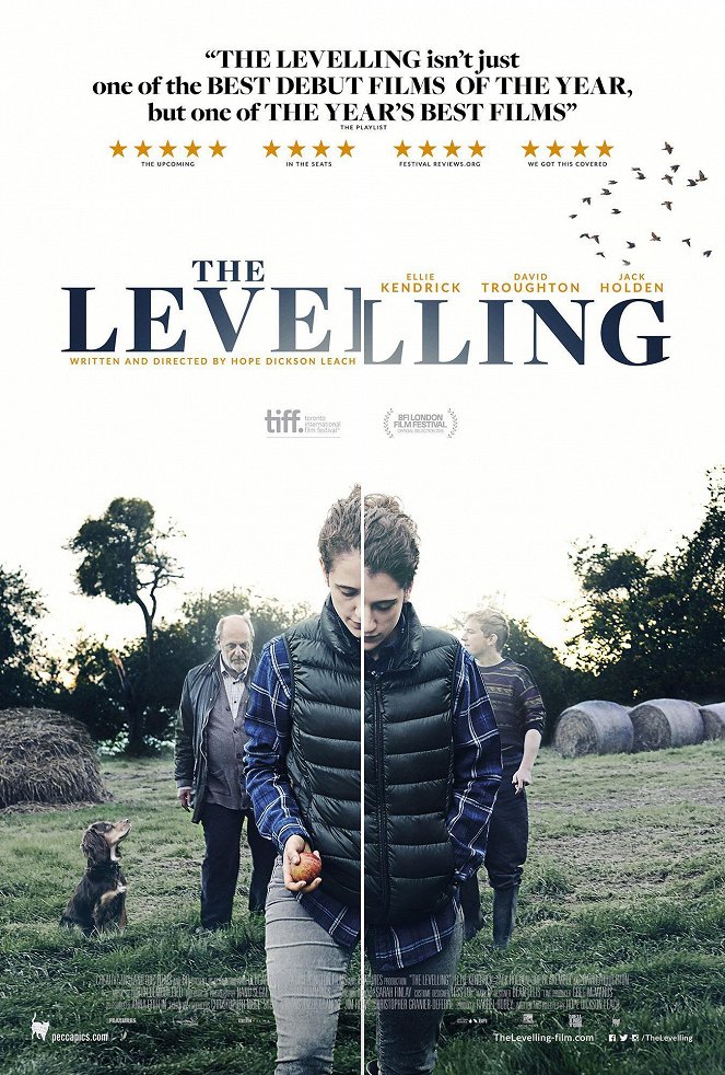 The Levelling - Cartazes