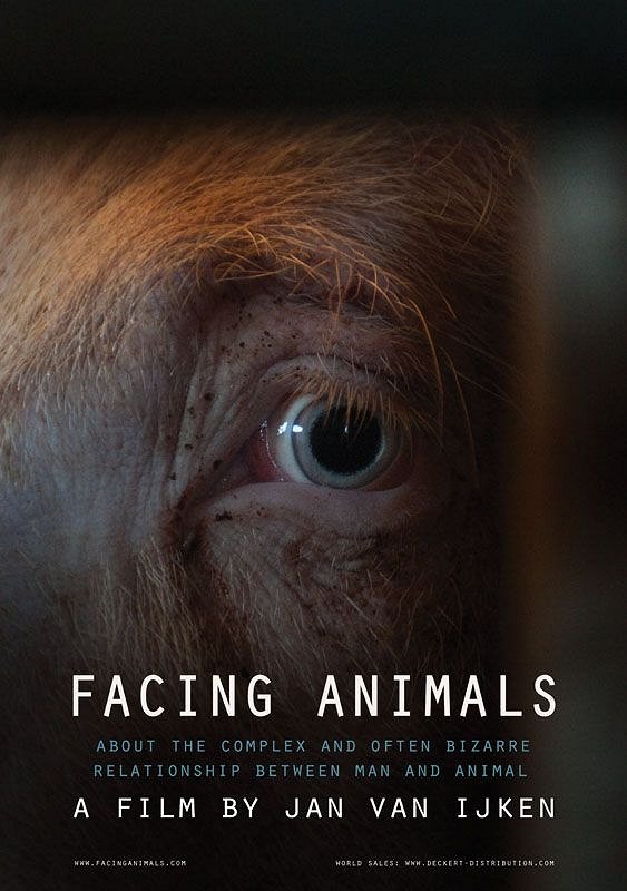 Facing Animals - Posters