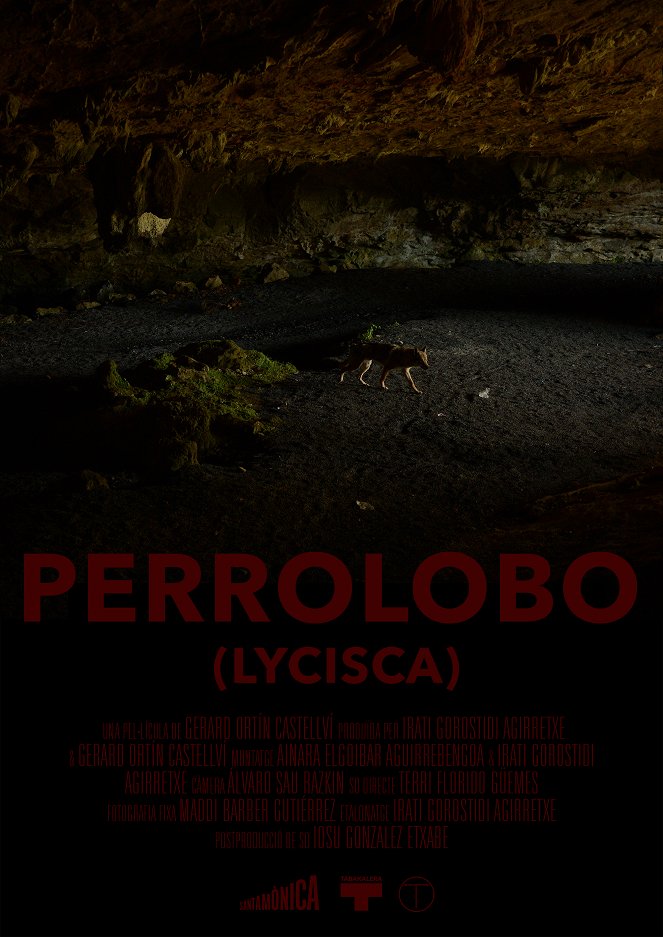 Perrolobo: Lycisca - Affiches