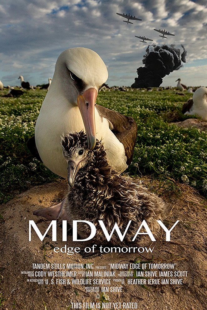 Midway: Edge of Tomorrow - Carteles