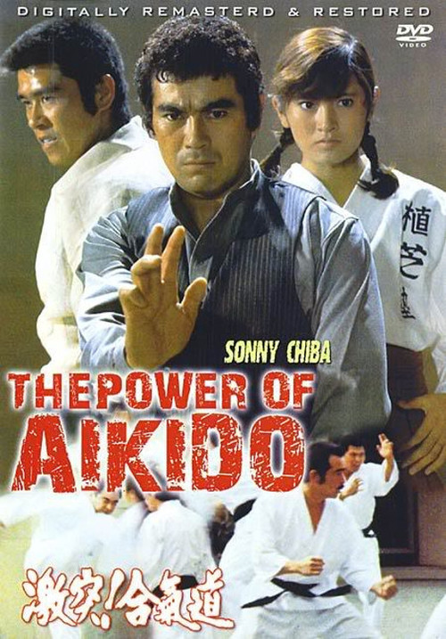 The Defensive Power of Aikido - Posters