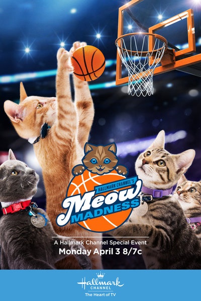 Meow Madness - Carteles