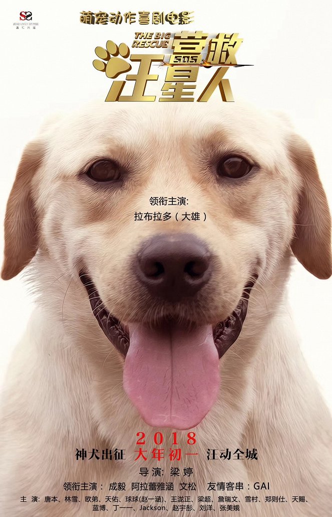 Year of the Dogs - Posters