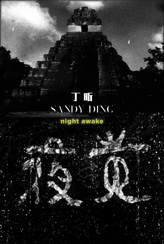 Night Awake - Cartazes