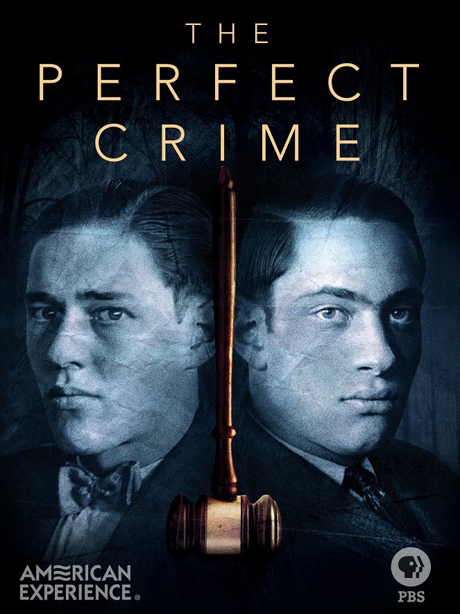 Perfect Crime - Plakaty