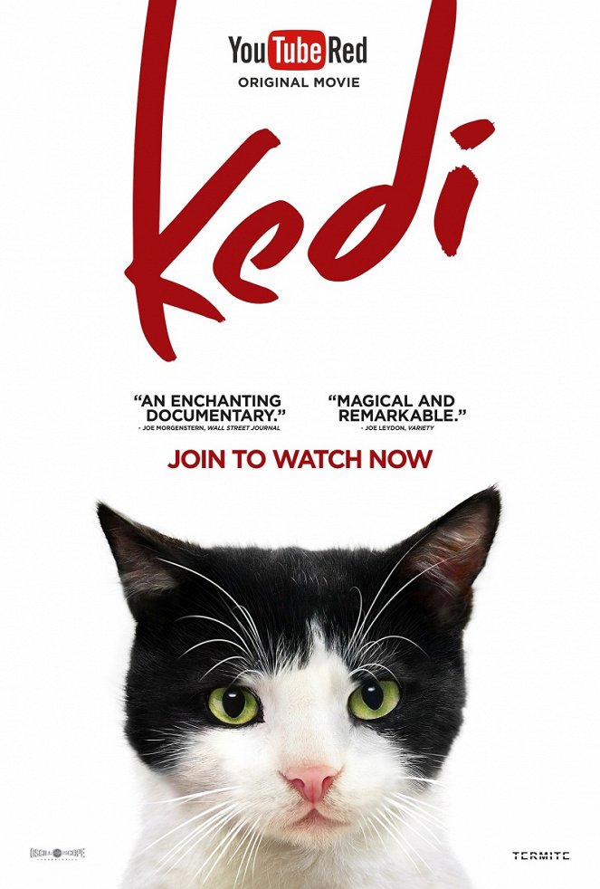 Kedi - Des chats et des hommes - Affiches