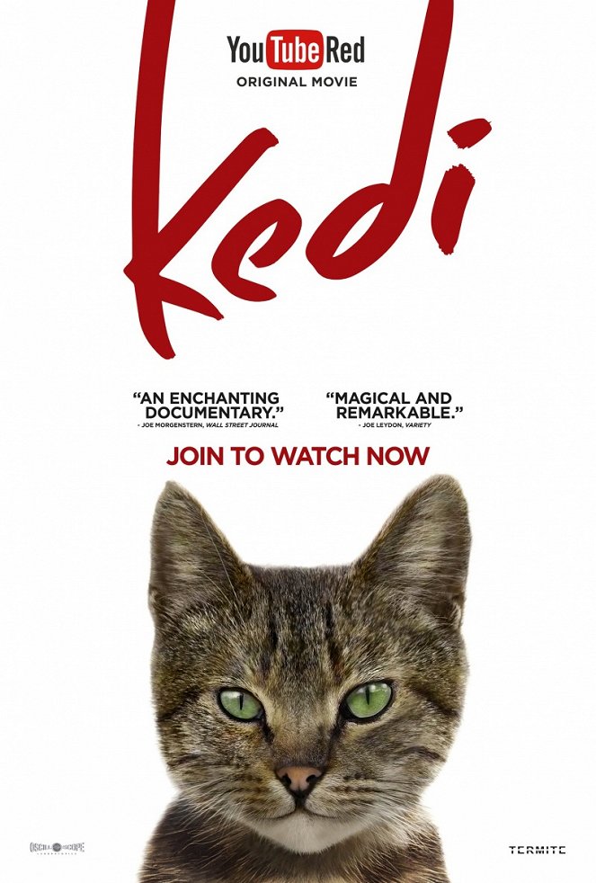 Kedi (Gatos de Estambul) - Carteles