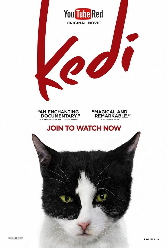 Kedi - Isztambul macskái - Plakátok