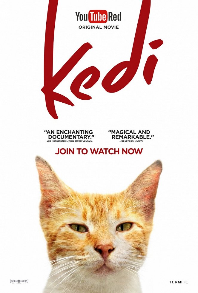 Kedi - Plakáty