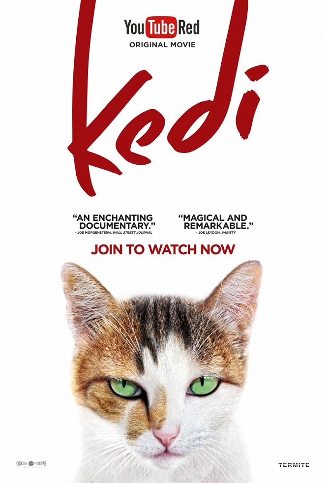 Kedi - Des chats et des hommes - Affiches