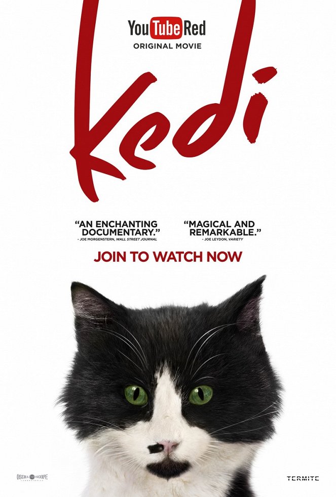 Kedi - Sekretne życie kotów - Plakaty