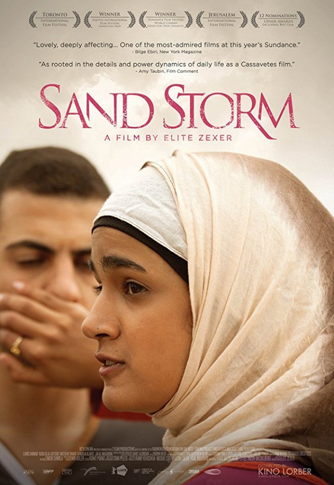 Sand Storm - Posters