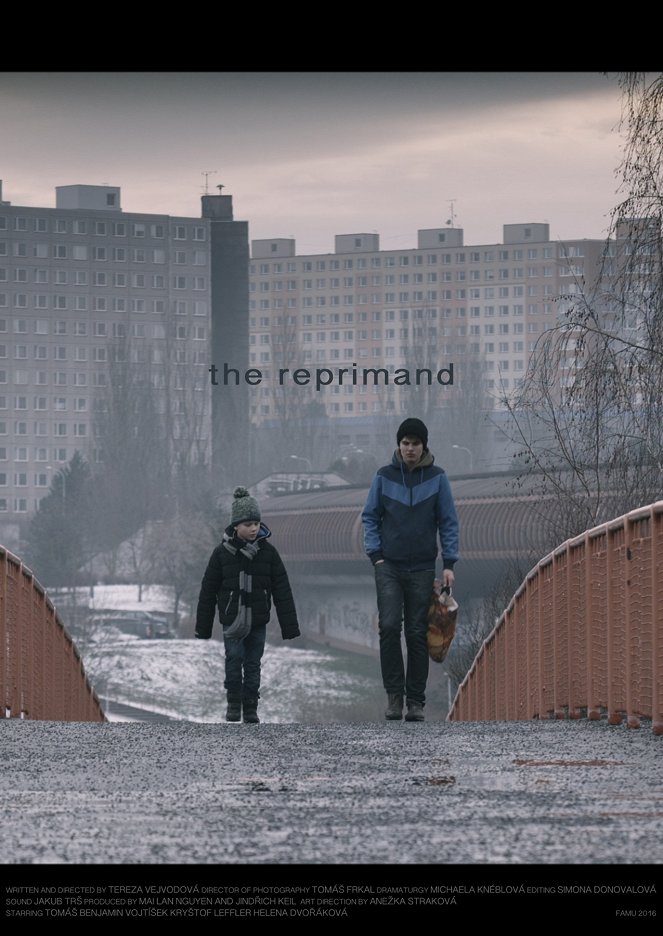 The Reprimand - Posters