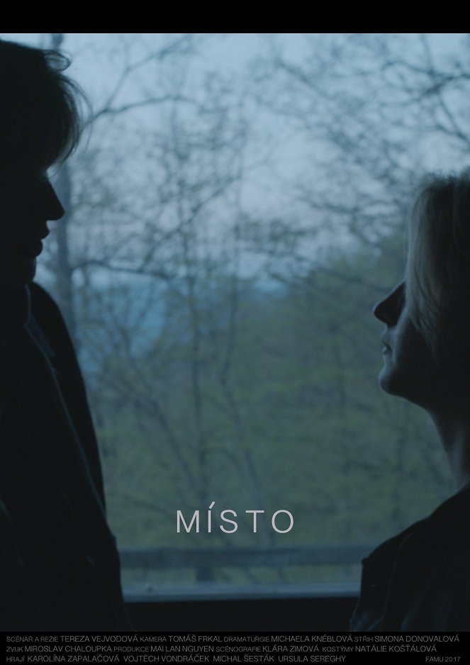 Místo - Posters