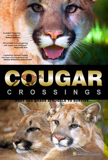 Cougar Crossings - Plakáty