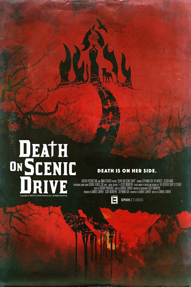 Death on Scenic Drive - Plakaty