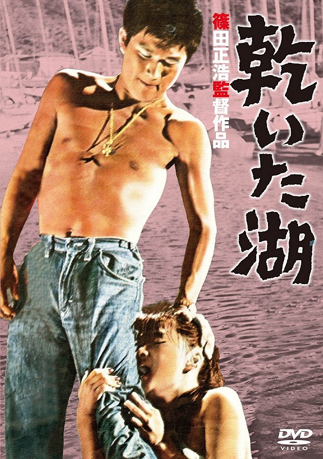 Kawaita mizuumi - Plakátok
