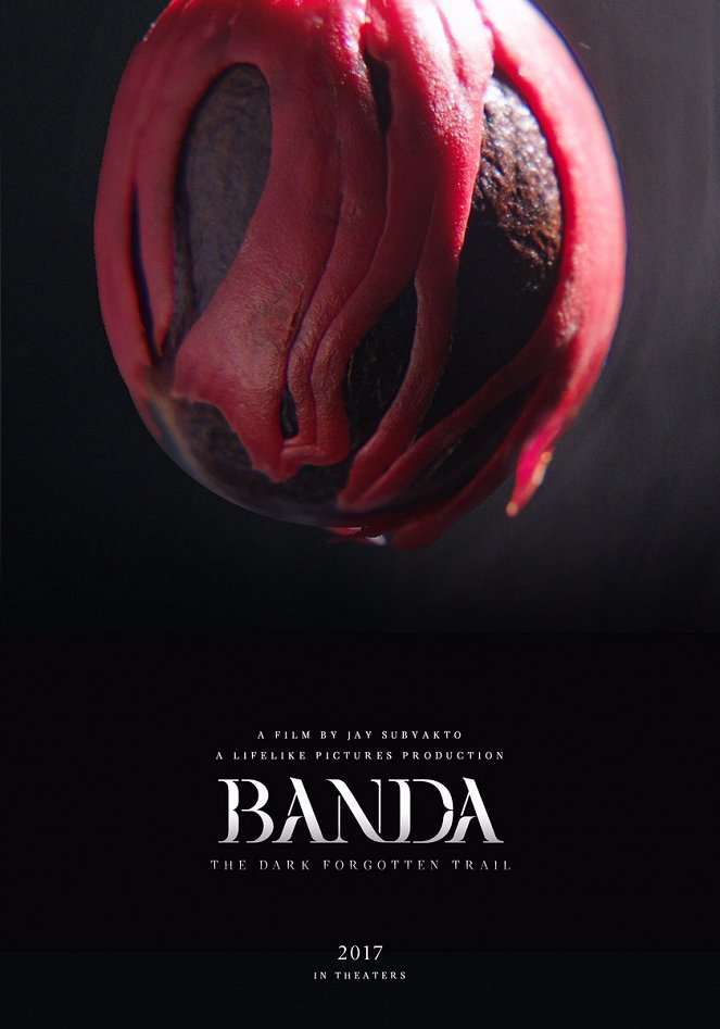 Banda the Dark Forgotten Trail - Plakate