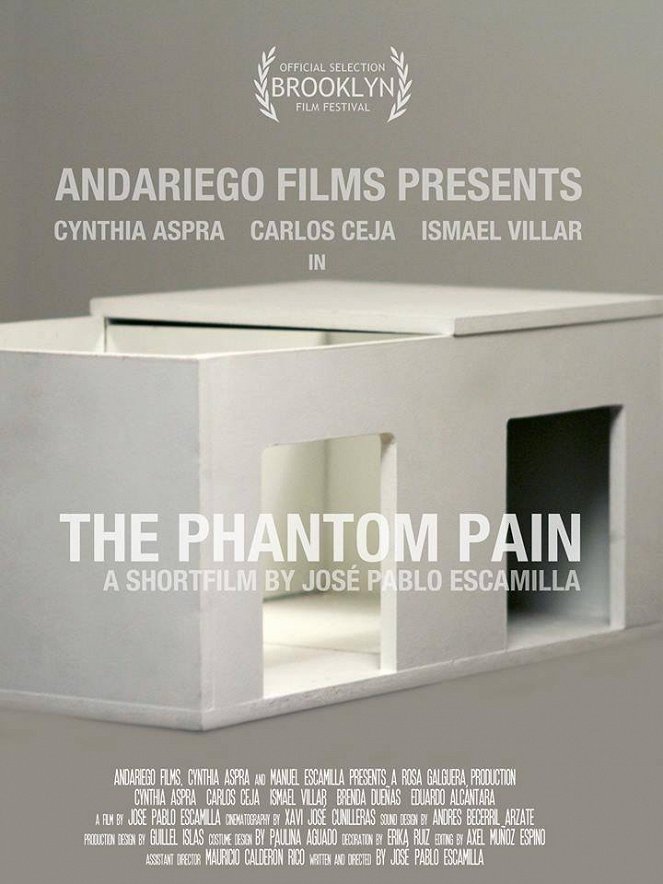 The Phantom Pain - Posters
