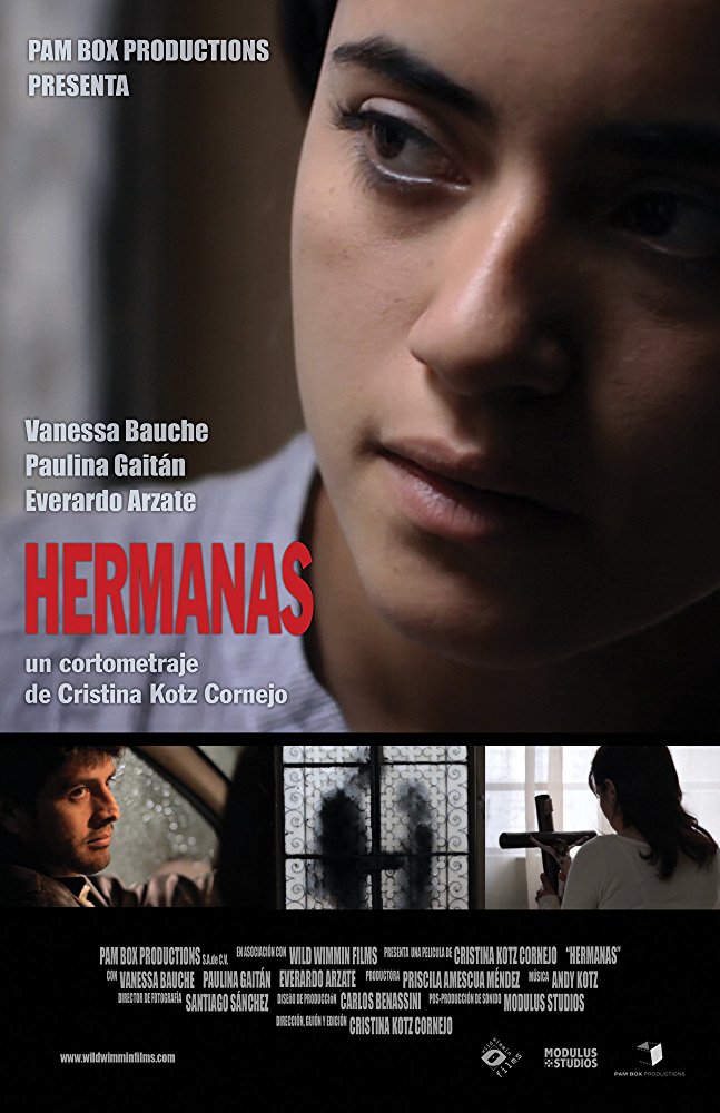 Hermanas - Affiches