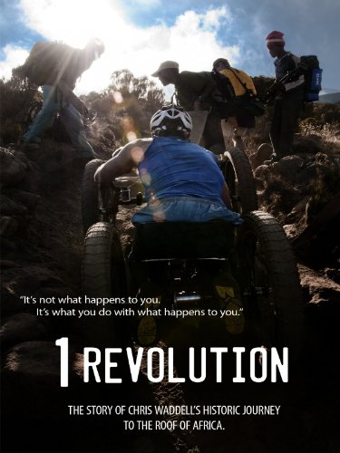 One Revolution - Plagáty