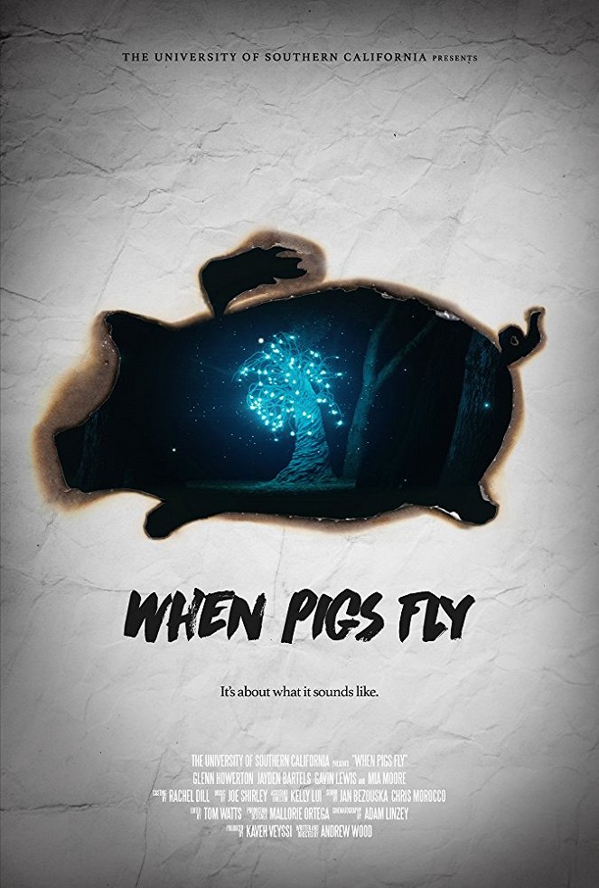 When Pigs Fly - Plakátok