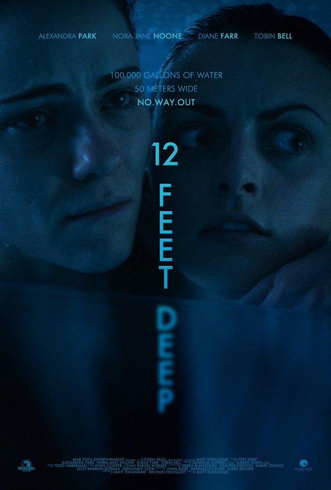 12 Feet Deep - Posters