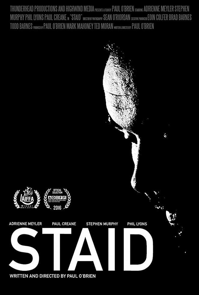 Staid - Affiches