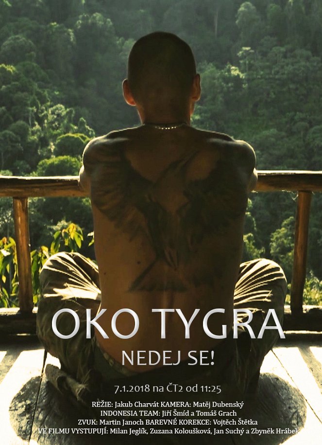 Nedej se!: Oko tygra - Posters