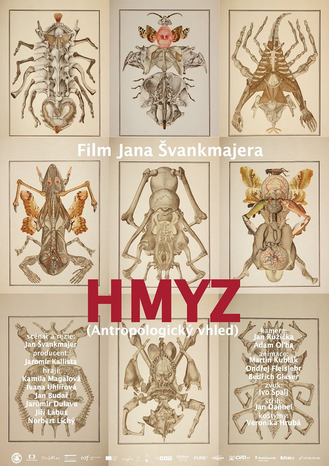 Hmyz - Plakate