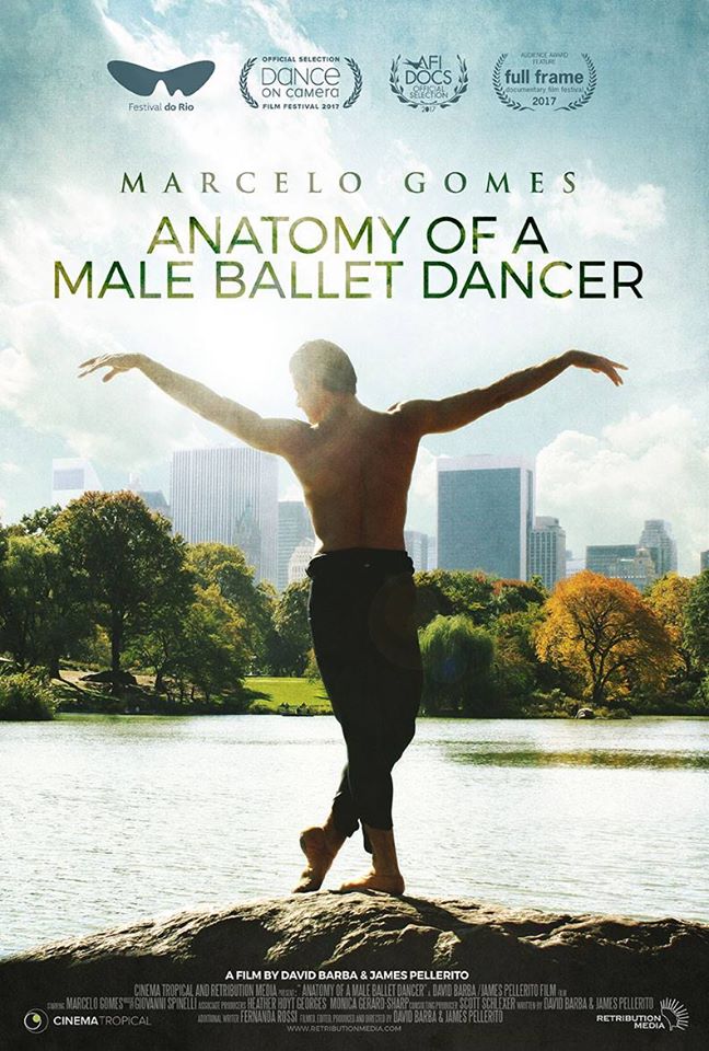 Anatomy of a Male Ballet Dancer - Plakaty
