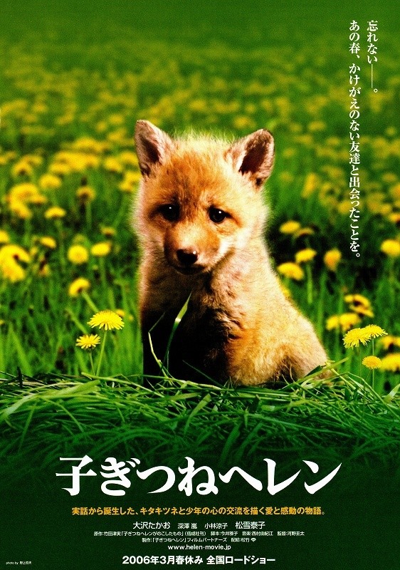 Helen the Baby Fox - Posters