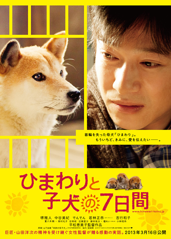 7 Days of Himawari & Her Puppies - Posters