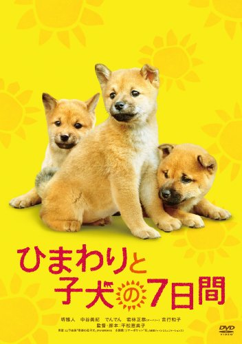 Himawari to koinu no nanokakan - Posters