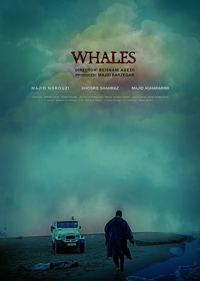 Whales - Posters