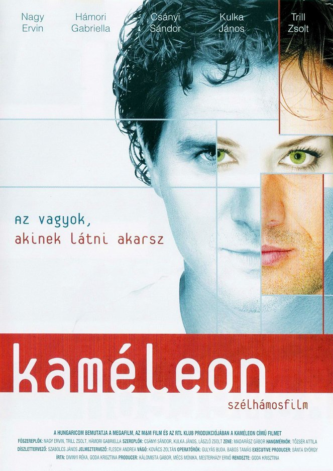 Kaméleon - Affiches