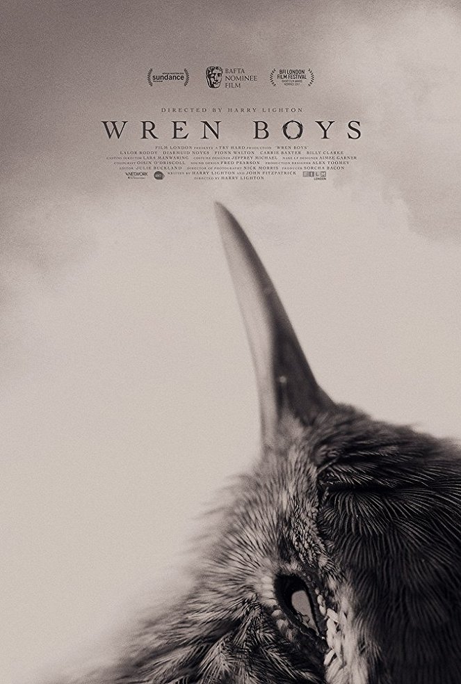 Wren Boys - Cartazes