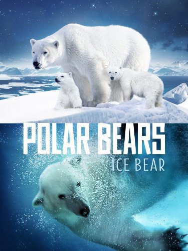 Polar Bears: Ice Bear - Plakate