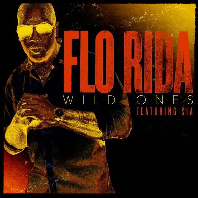 Flo Rida feat. Sia - Wild Ones - Plakate