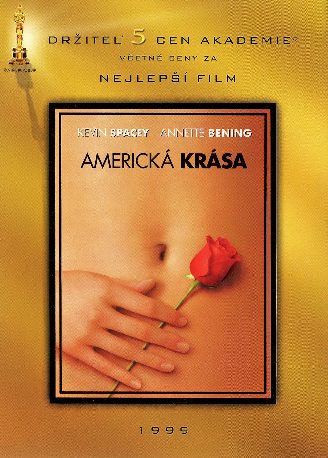 Americká krása - Plakáty