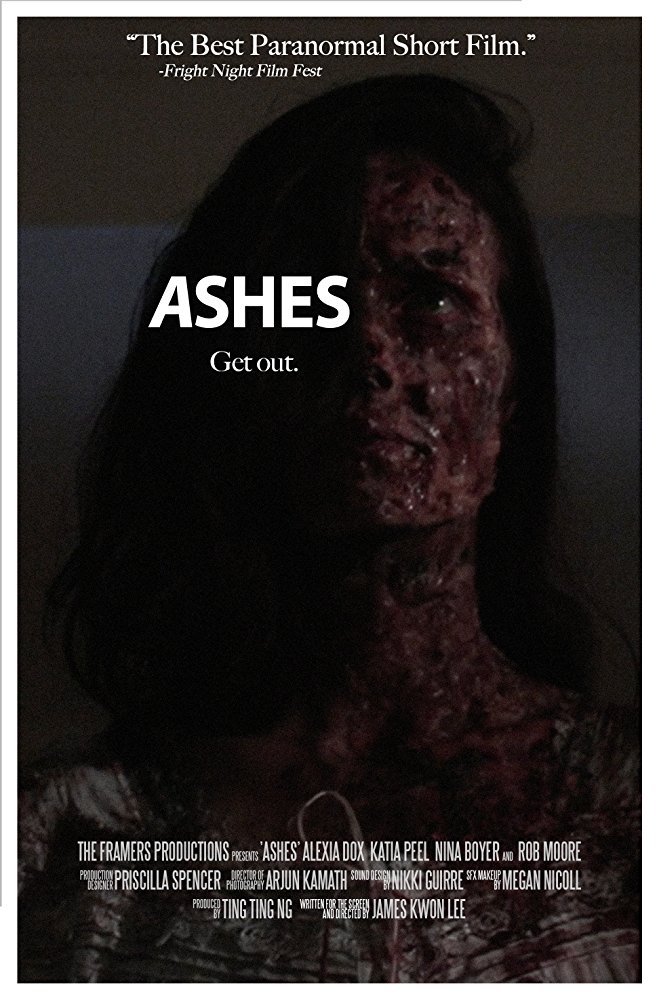 Ashes - Plakáty